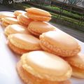 Macarons fourés à la confiture de clémentines