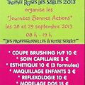 "Journées Bonnes Actions" les 28 et 29 septembre 2013
