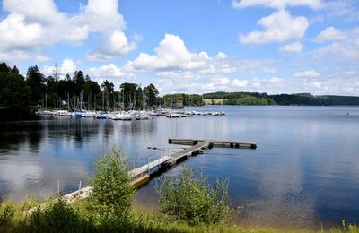 De l'île de Vassivière jusqu'à Auphelle (Creuse) le 1er août 2025 (2)