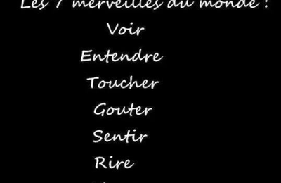Bien vieillir est un art