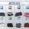 Ouvrage météo 2014 : Février