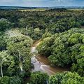 Département de la LIkouala :  le parc naturel d’Odzala-Kokoua, désormais  Patrimoine mondial de l'Unesco