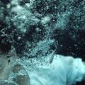 Come Swim: Projeté au Sundance Film Festival de Londres