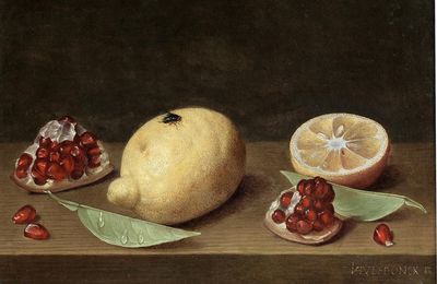 Jacob van Hulsdonck (Antwerp 1582-1647), A whole lemon, a sliced lemon and pomegranate on a table-top