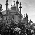 Brighton - Palais royal