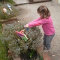 Potager en carré