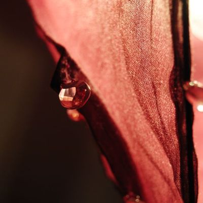 jour 361 - vendredi 20 janvier