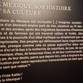Au VIAGE, deuxième exposition en immersion - Frida Kahlo "
