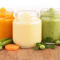 Organic Baby Food Market Statistics, Size, Share, Trends, Demand and Regional Analysis 2023-2028