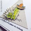 LS jeu de l'été #4 ... le cactus du bonheur