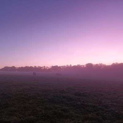 Des petites nouvelles 