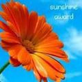 Petit tag du week-end et "Sunshine award"