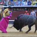 Temporada : Almería – La traditionnelle corrida-concours donnera les trois coups de la saison 2007 en Espagne