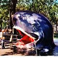 "Les grandes baleines bleues"