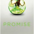 Promise de Ally Condie