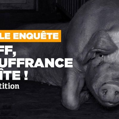 [Nouvelle enquête] Hénaff, la souffrance en