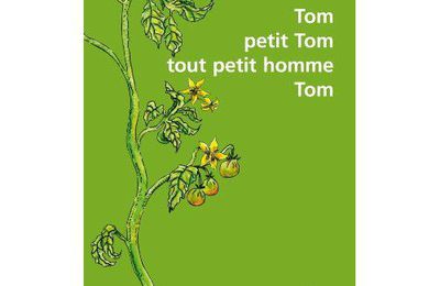 Tom, petit Tom, tout petit homme, Tom.