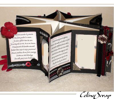 star book spécial "Saint Valentin"