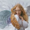 Ailes protectrices