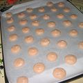 macarons  en preparation