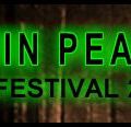 Un festival "Twin Peaks" en Angleterre !