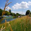 Le canal de la Marne au Rhin, tout simplement