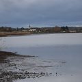 La pêche de l'étang du moulin 