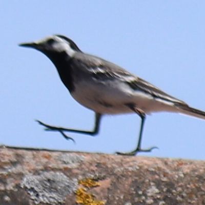 2020/08/11 Nouveauté