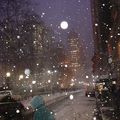 New York under the snow
