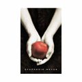 "Fascination" de Stephenie Meyer