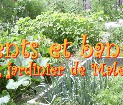 Quand c'est fini y en a encore...