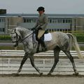 Coucours militaire Dax 17 et 18 Mai