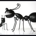 les fourmis-01-2022