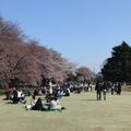 Hanami 2010