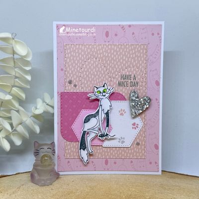 Carte Chat