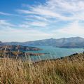 Alice in Wonderland: Akaroa