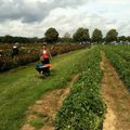 C'était mercredi: on tourne la manivelle...