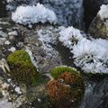 et le givre petit à petit crée des fleurs