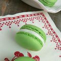 Macaron menthe chocolat