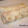 CANNELLONI AU POULET