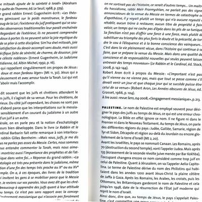 LE SALUT VIENT DES JUIFS de Bernard Fauvarque