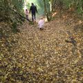 promenade d'automne...