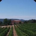 Douceur de vivre en Provence...