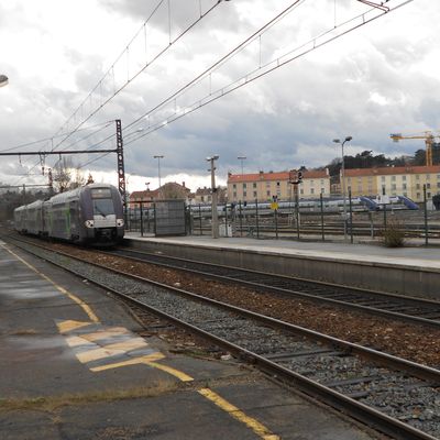 Grand Lyon : le SERM doit être défini avant un an, le chantier est colossal