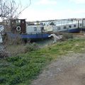 VILLENEUVE : LA PENICHE DE TOURISME EST A QUAI SUR LE CANAL .....