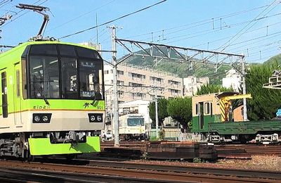 Eiden: quand le "vert-fluo" rencontre "l'oiseau de nuit"