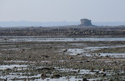 Au Sillon de Talbert (Côtes d'Armor) le 1er mars 2021 (1)