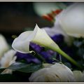 Fleurs des mariés-Voninkazon'ny mpanambady-Wedding flowers