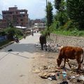 katmandu est une des villes des plus poluees