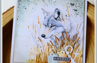Carte loup (DT PCC)